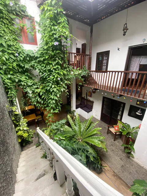 Shoba Travellers Tree Galle fort