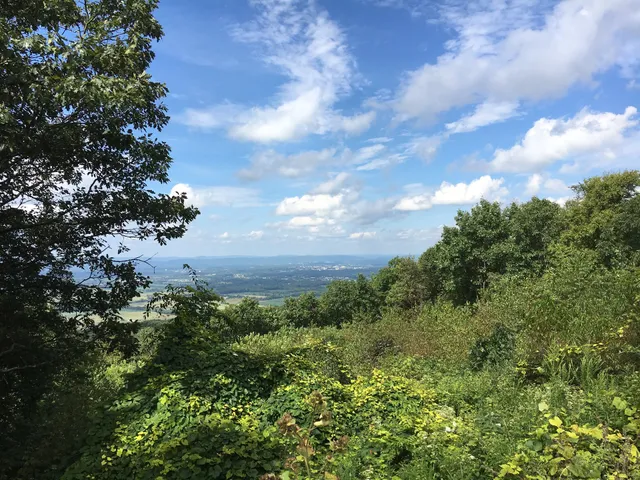 Rothrock State Forest