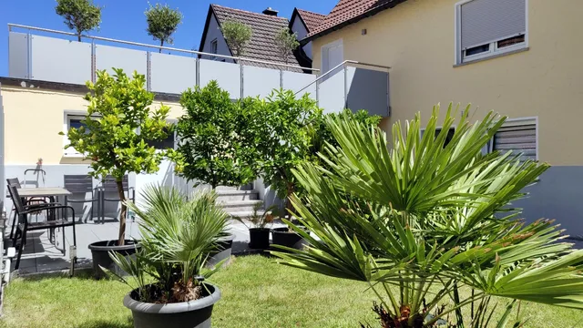 Haus zum Schlosspark