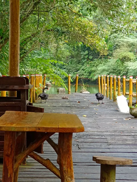 雲仙樂園-西羅岸咖啡