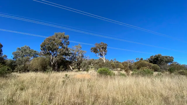 Mawson Majura Track