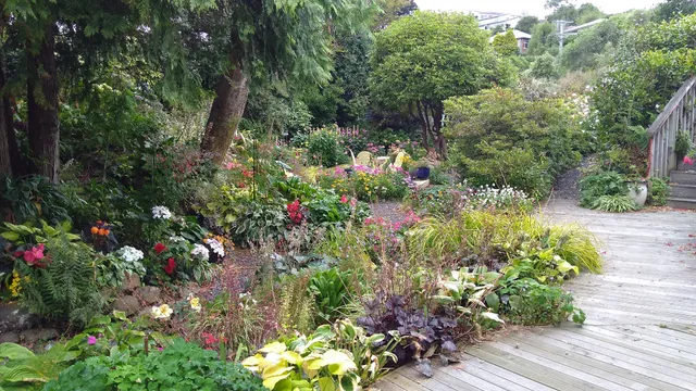 Arts Content Harbour View