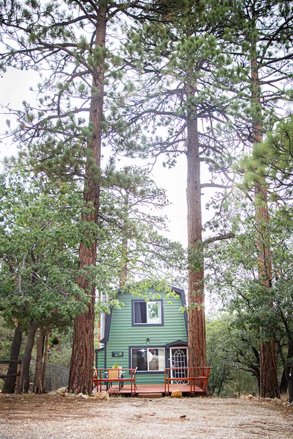 Quiet Pine Cabin