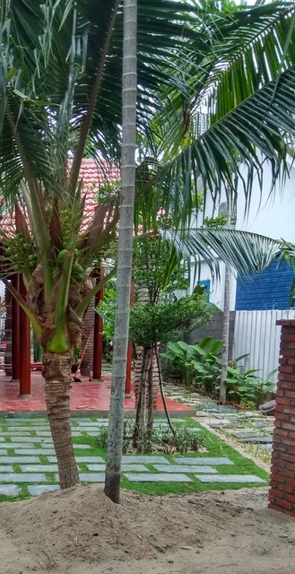 Nameless Cafe & Restaurant