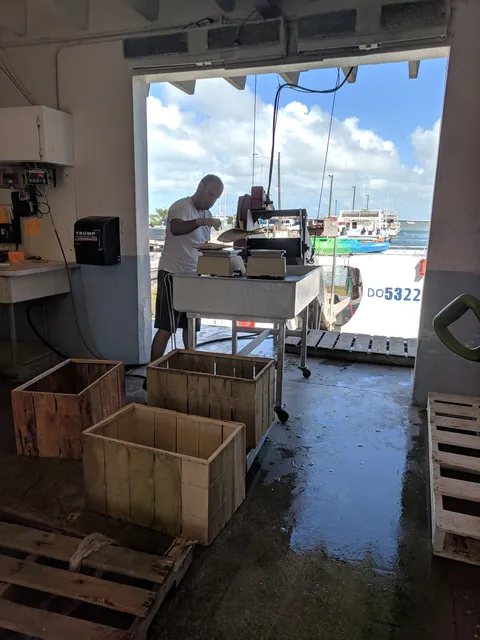 Stock Island Lobster Co