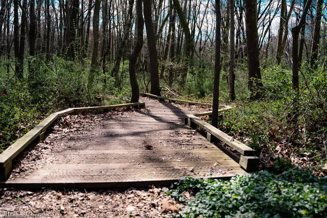 Green Ribbon Trail (North Wales Rd Trailhead)