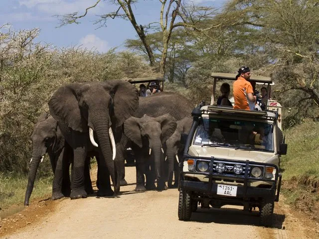 Gosheni Safaris Africa