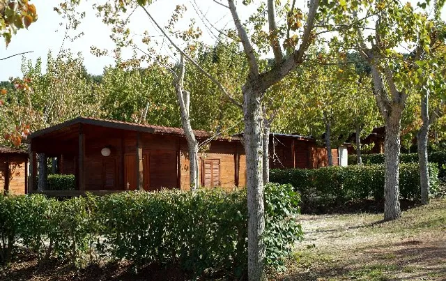 Case Vacanze Citrigni Peschici