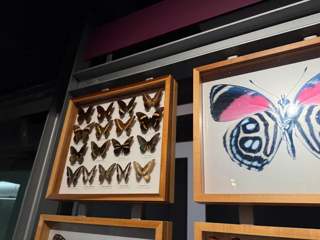 Museum of Earth Science