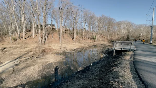 Sparrow Pond Viewing Deck