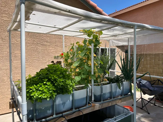 Southwest Aquaponics And Fish Hatchery, Llc