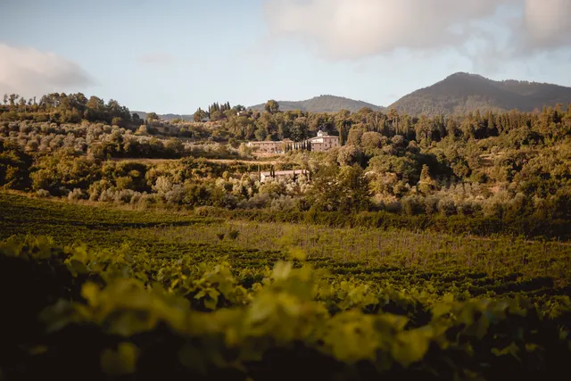 Tenuta La Novella - Biodynamic Altitude Wines