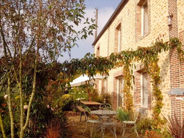 Le jardin des violettes