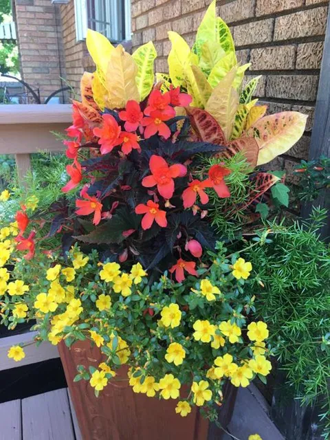 Picket Fence Foundation