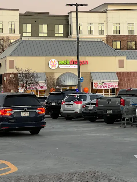 WokDragon