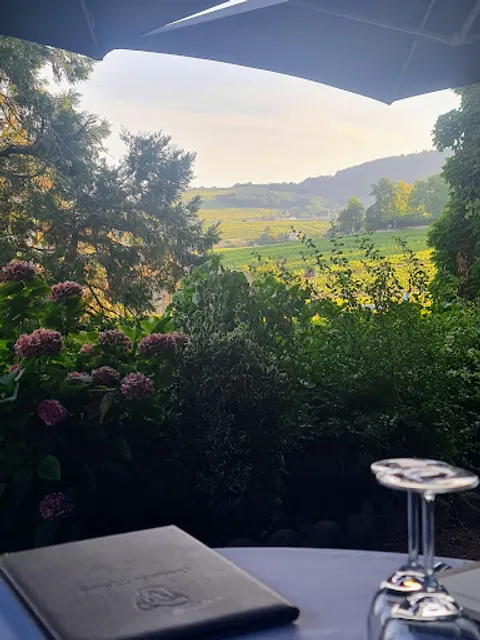 Les Platanes de Chénas