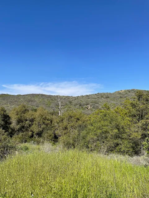 Willow Canyon Hiking Trail