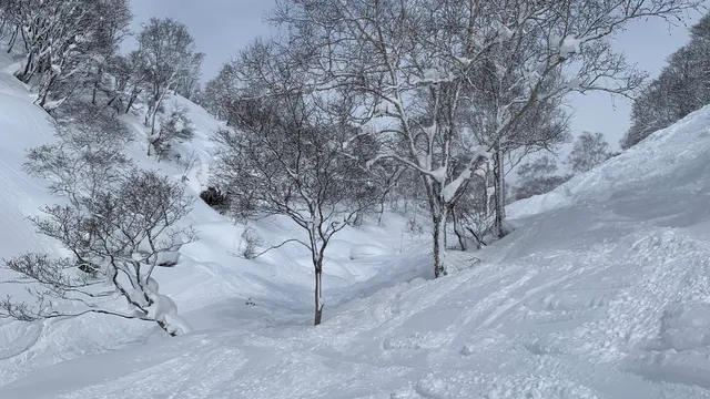 Niseko Highland Cottages