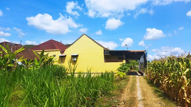 Bougenville Homestay