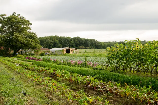 Threefold Community Farm