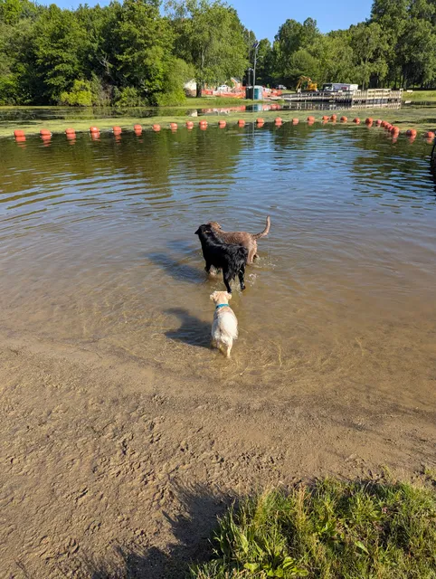 Cooperation Station Dog Park