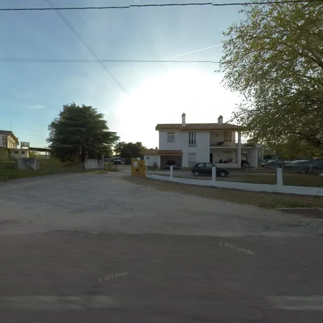 Three Trees ~ Hostel