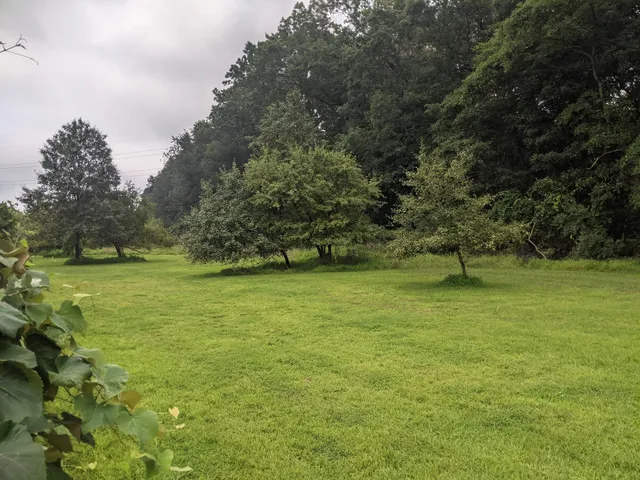 Mercer County Disc Golf Course