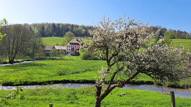 Gasthof-Pension Hoher Knuck