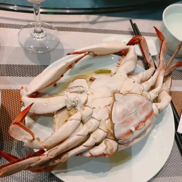 Yan Rest. Small Seafood Rest.