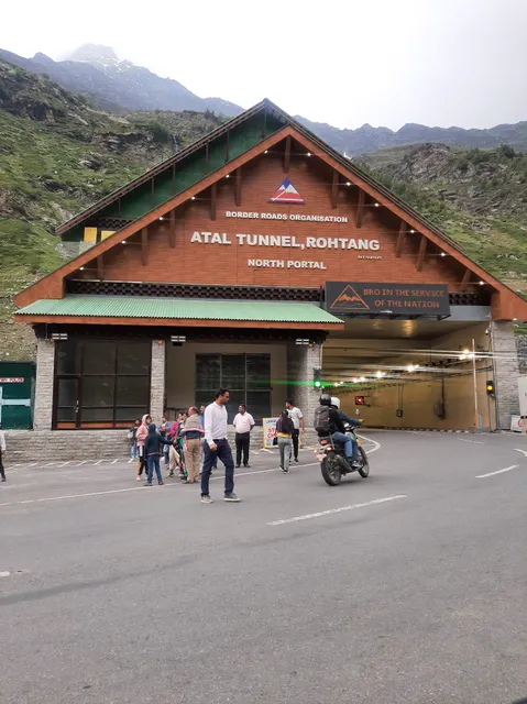 Tulip Flowing River View