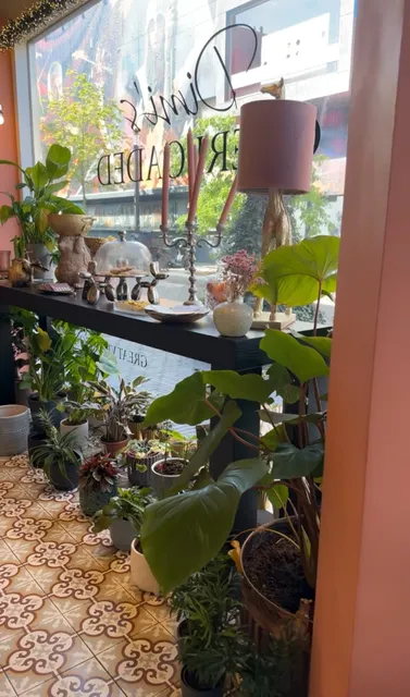 Dimi's Overloaded lunchroom