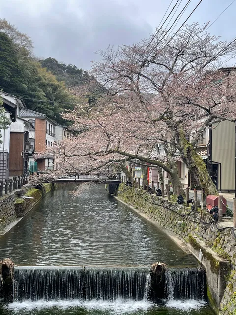 小宿 紬 Koyado Tsumugi