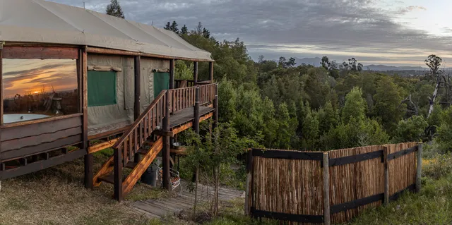Fernhill Guest Farm & Tented Treehouses