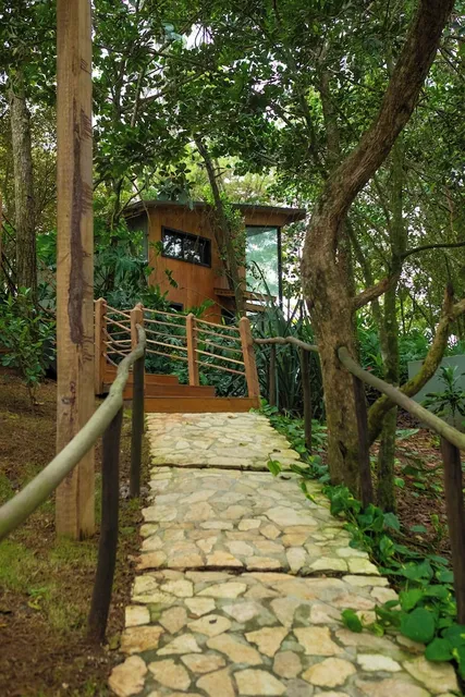 The Grand Forest Jarabacoa