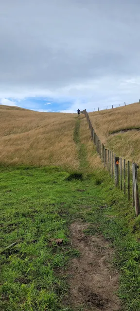 Kai Iwi Lakes Coastal Track