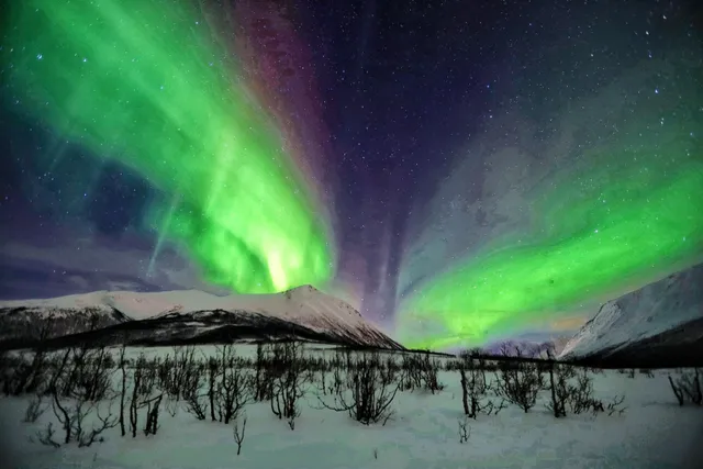 Aurora viewing bridge