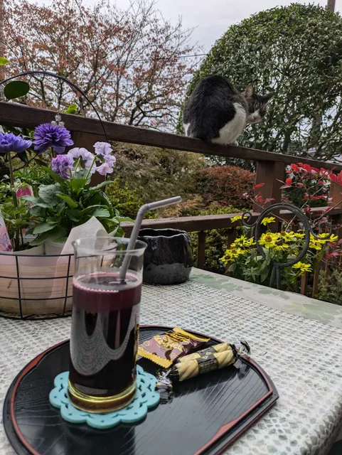 カフェ プラスONE