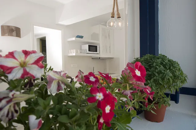 Hyades Mykonos Downtown Suites