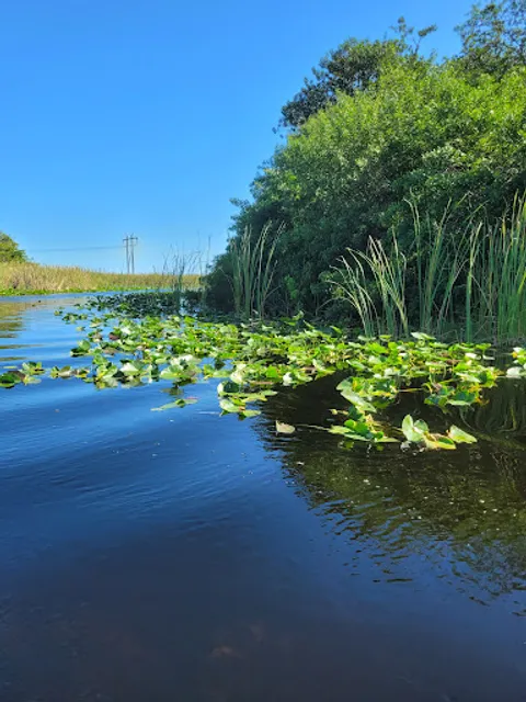 Everglades