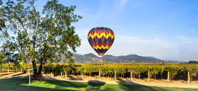 Fortunati Vineyards Private Wine Tasting Lounge Napa Valley