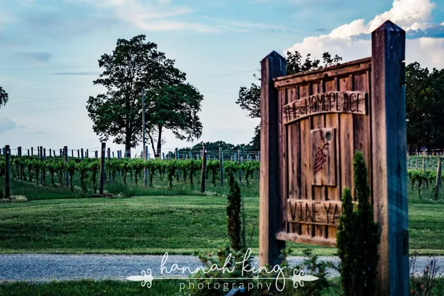 The Homeplace Vineyard