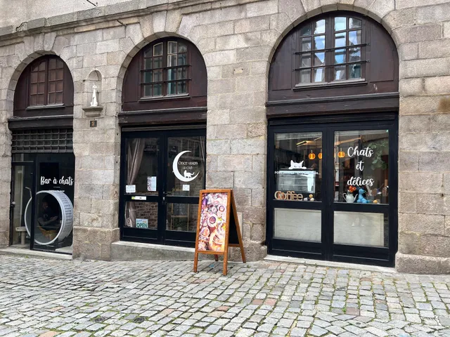 Once Upon A Cat - bar a chats