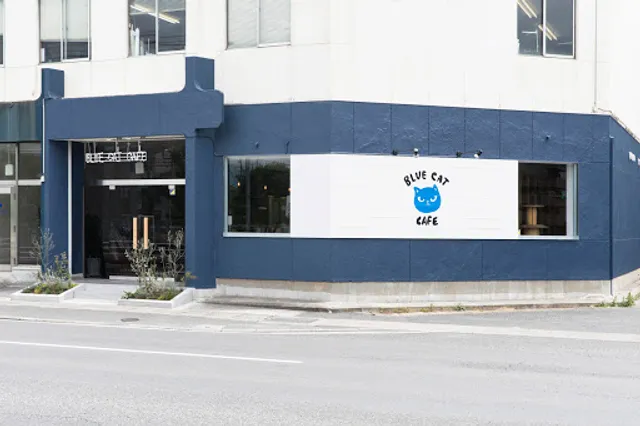 Blue Cat Cafe