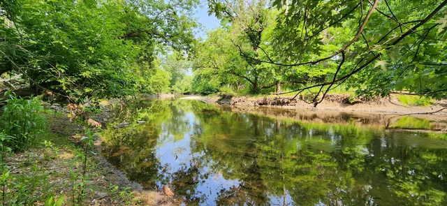 Bunker Hill Grove #1