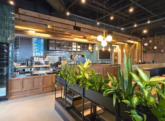 Armor Coffee Co - Wylie