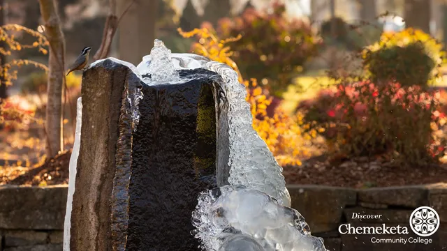 Chemeketa Community College