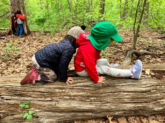 Kew Kids Forest School