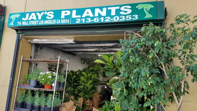 Jay's Plants