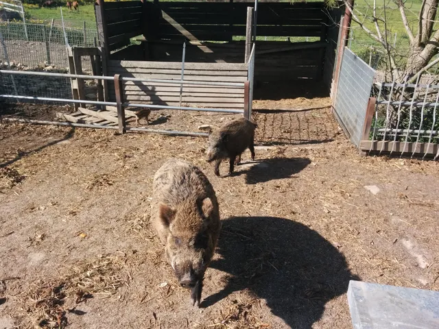 Agriturismo La Curatoria