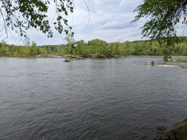 James River Park - The Wetlands
